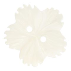 Knopf Perlmutt Blume Größe 32 - 20mm - 50Stk