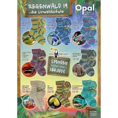 Opal Regenwald 19 4-fach 5x100g - 8 Farben - 1Stk